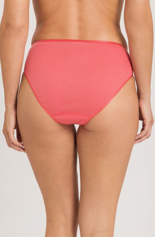 Shop Hanro Seamless Cotton High Cut Briefs In Porcelain Rose