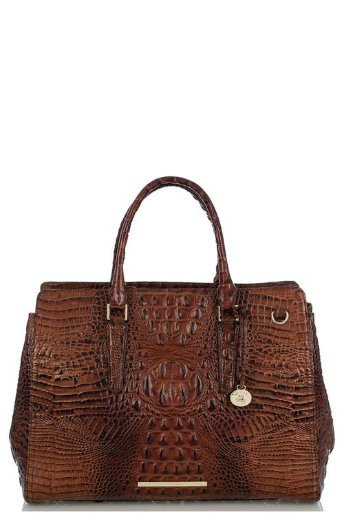 UPC 749034252275 product image for Brahmin Finley Croc Embossed Leather Tote in Pecan at Nordstrom | upcitemdb.com