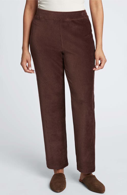 Foxcroft Caden Plush Corduroy Pants in Chocolate 