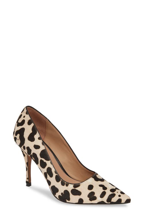 Linea Paolo Payton Pointy Toe Pump In White/black Calf Hair