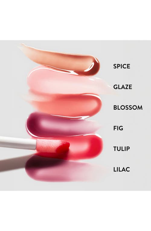 Goop Hydra Barrier Gel Gloss Spice 0.13 Fl oz / 3.8 ml In Spice