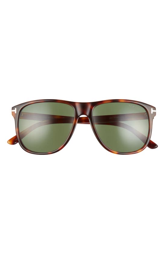 Tom Ford Joni 56mm Square Sunglasses In Havana/ Green