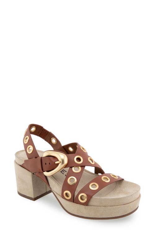 Aerosoles Cleveland Slingback Platform Sandal Leather at Nordstrom,