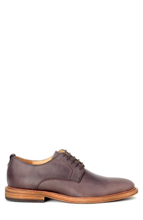 Shop Warfield & Grand Aptos Plain Toe Derby In Dark Brown