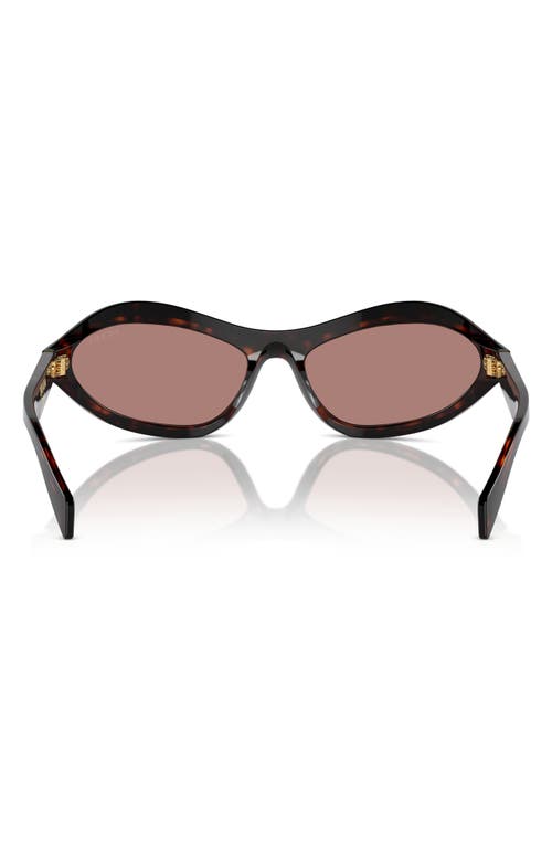 Prada 61mm Oval Sunglasses In Lite Brown