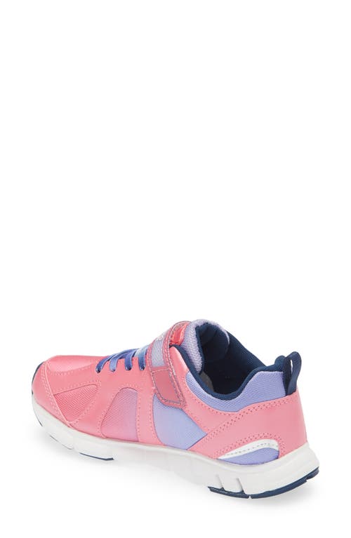Tsukihoshi Rainbow Sneaker In Fuchsia/purple