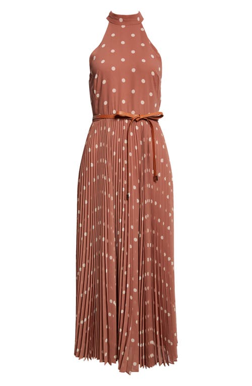 Shop Zimmermann Sunray Picnic Pleated Chiffon Midi Dress In Aragon/cream Dot