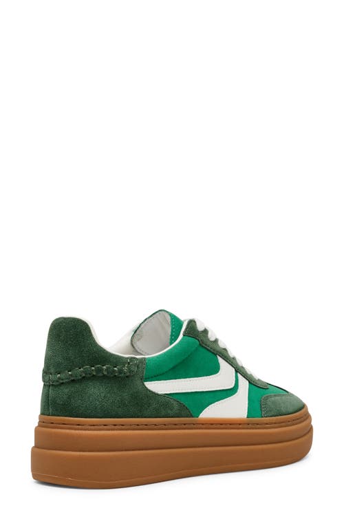 Shop Steve Madden Dodge Platform Sneaker In Green Multi