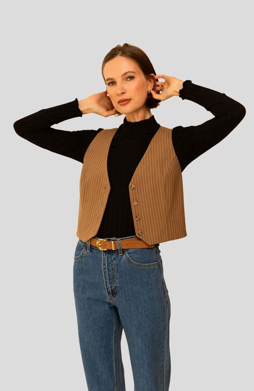 Whimsy + Row Bowie Vest In Tan Stripe