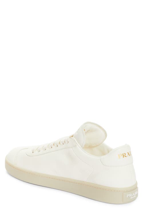Prada Off White Downtown Lace Up Sneakers In Avorio