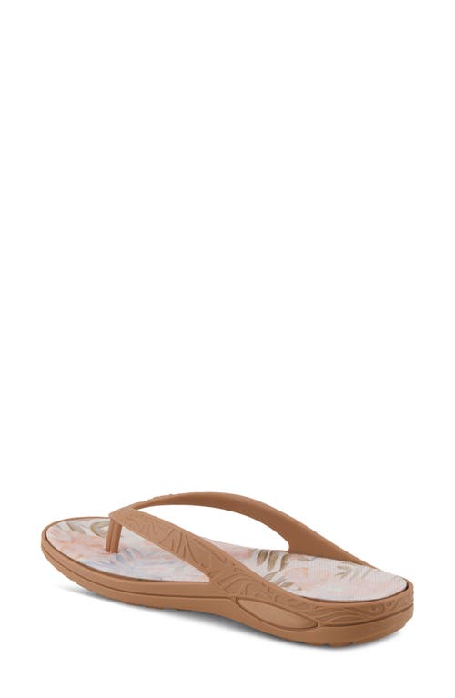 Shop Spring Step Contilo Flip Flop In Tan