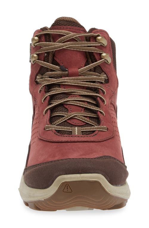Keen Terradora Explorer Waterproof Hiking Boot In Andorra/java