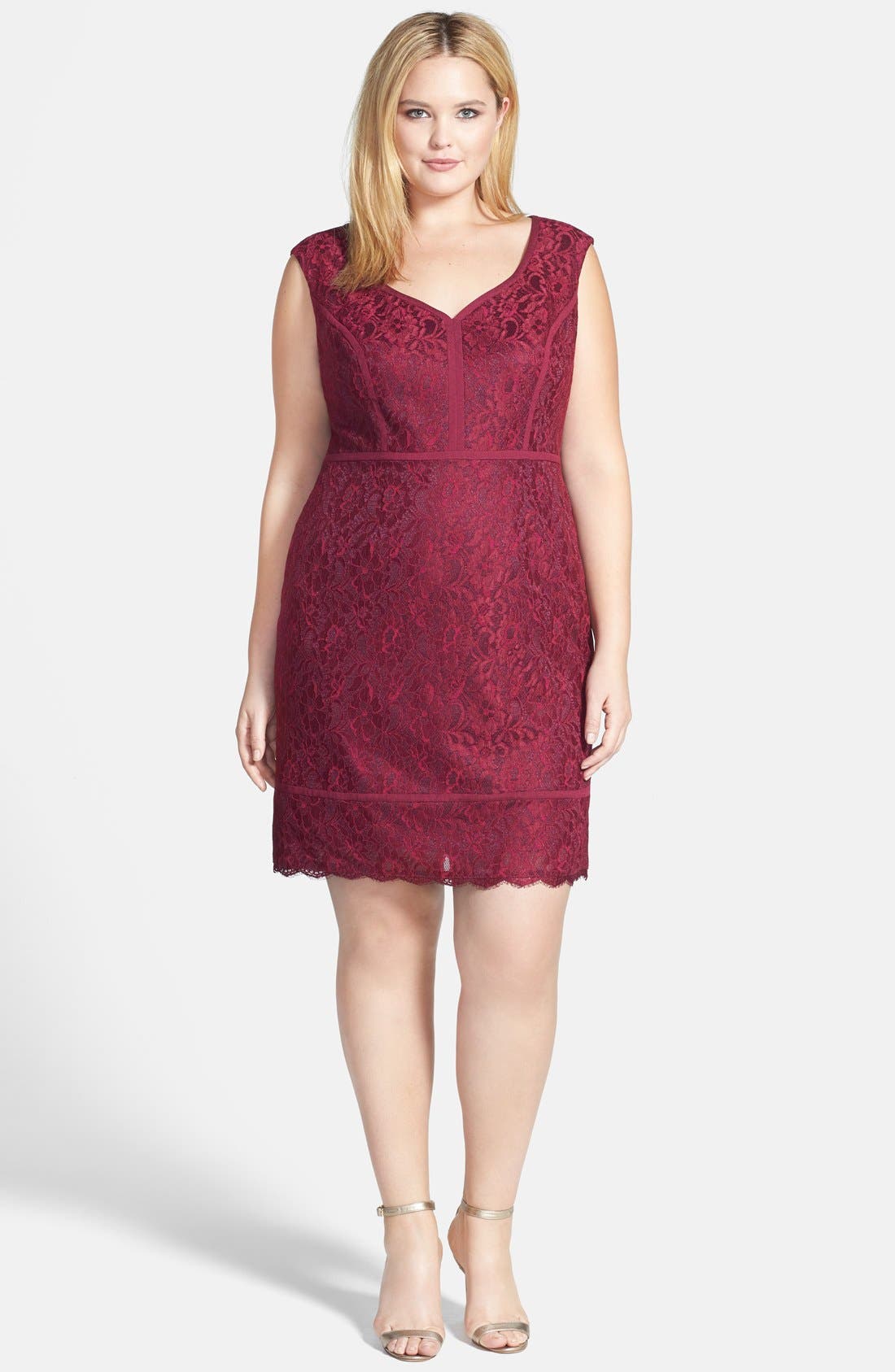 Adrianna Papell Banded Seam Lace Sheath Dress (Plus Size) Nordstrom