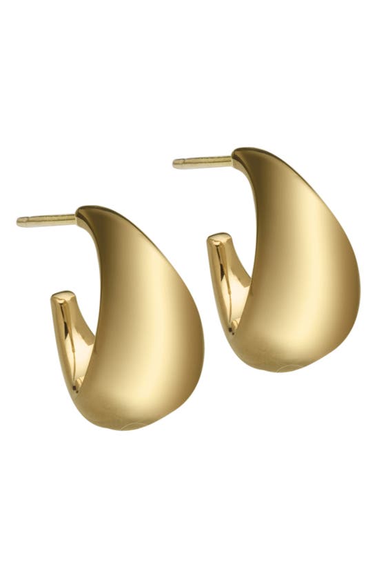 Shop Jennifer Zeuner Shira Hoop Earrings In 14k Yellow Gold Plated Silver