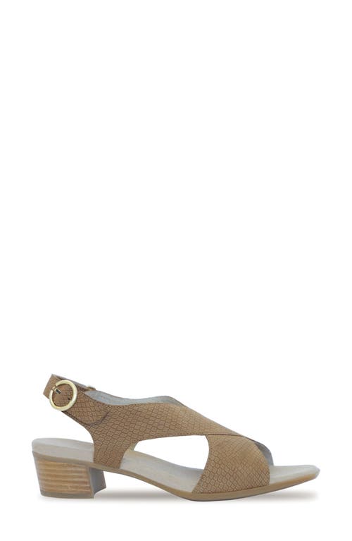 Munro Jenny Sandal In Medium Tan Lizard Nubuck