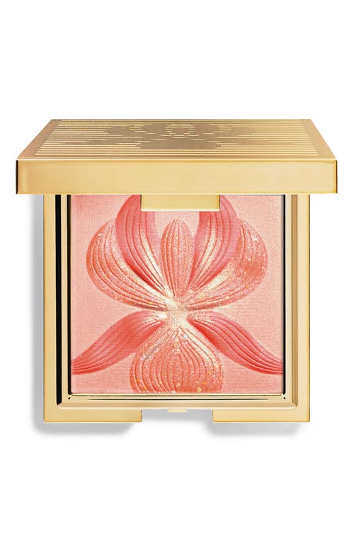 Sisley Paris LOrchidée Highlighter Blush in 3 L'orchidee Corail at Nordstrom