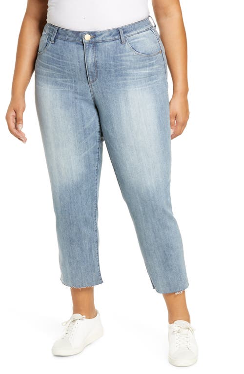 Wit & Wisdom 'Ab'Solution High Waist Button Fly Crop Jeans in Blue at Nordstrom,  20W