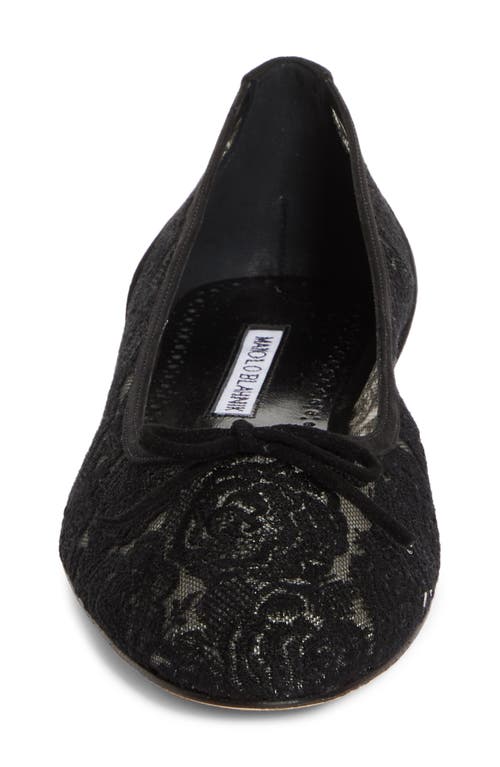 Shop Manolo Blahnik Verizzo Lace Ballet Flat In Black