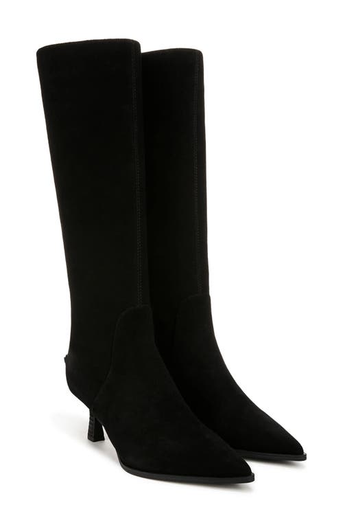 Shop Circus Ny By Sam Edelman Yulia Pointy Toe Knee High Boot In Black Suede