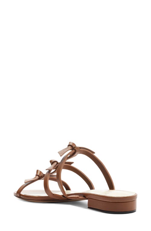 Shop Alexandre Birman Slim Lolita Slide Sandal In Espresso