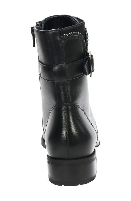 David Tate College Bootie In Black Calf/croc
