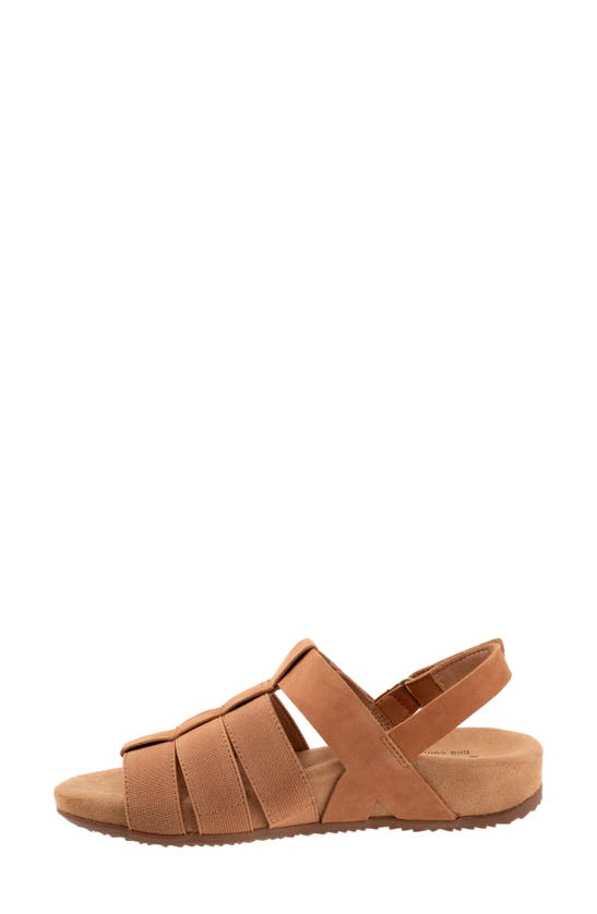 Shop Softwalk ® Burnaby Slingback Sandal In Tan Nubuck