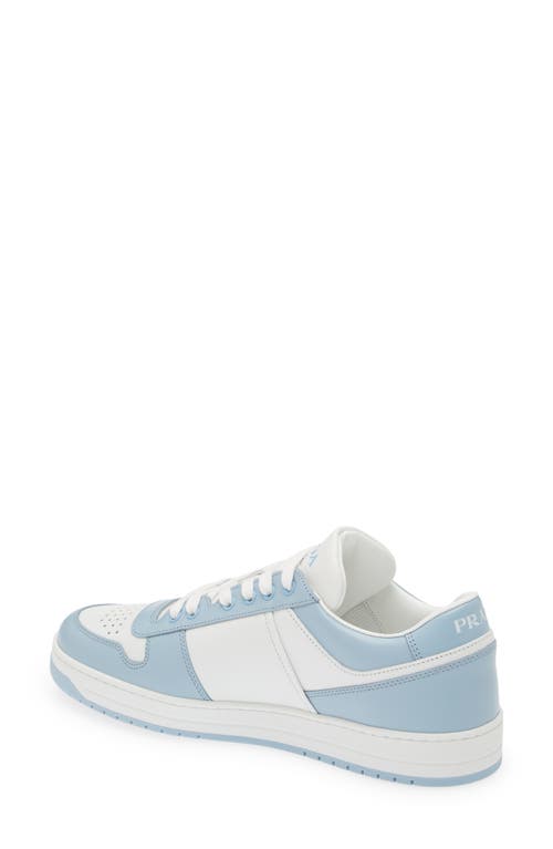 Shop Prada Downtown Logo Low Top Sneaker In Bianco/celeste