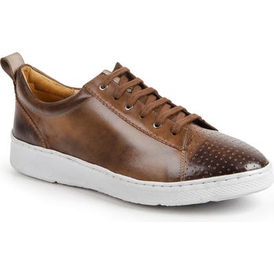 Sandro Moscoloni Myron Perforated Sneaker, Brown