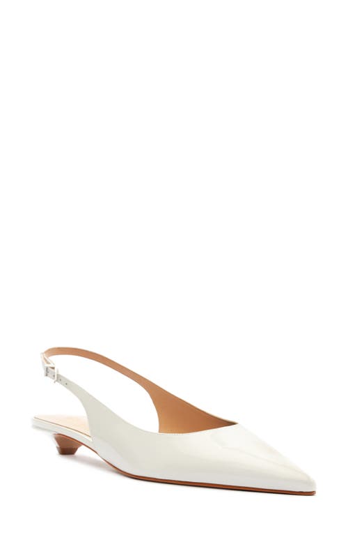 Shop Schutz Evan Pointed Toe Slingback Kitten Heel Pump In White