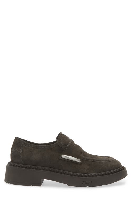Ash Medusa Loafers In Gunmetal Suede In Bistro