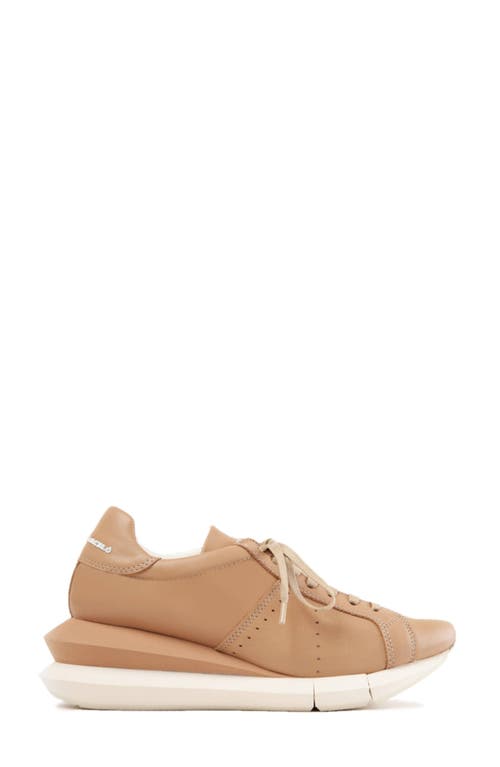 Shop Paloma Barceló Paloma Barcelo Alenzon Wedge Sneaker In Pastelbrown/nocciola