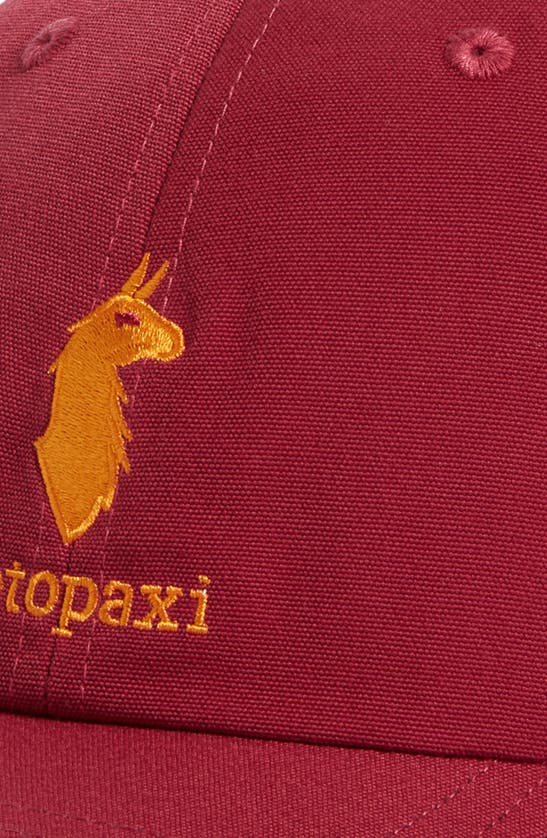 Shop Cotopaxi Embroidered Dad Hat In Raspberry