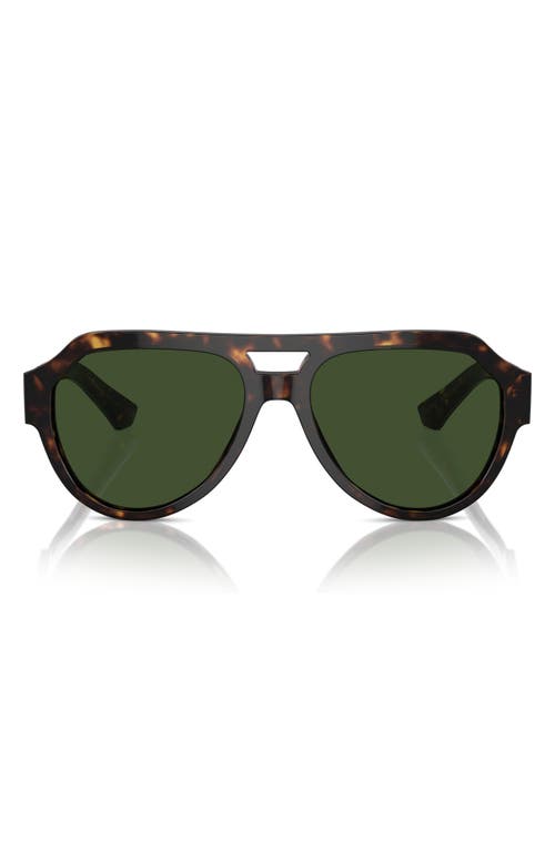 Dolce & Gabbana 56mm Square Aviator Polarized Sunglasses in Havana at Nordstrom