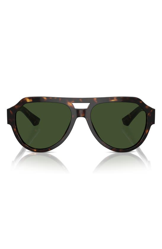 Dolce & Gabbana Logo-engraved Sunglasses In Havana