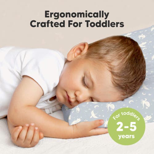 Shop Keababies 2-pack Toddler Pillows In Dragons