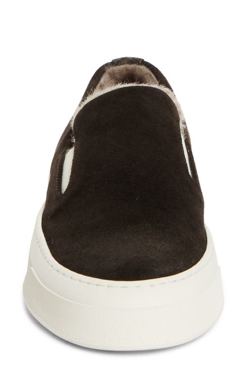 Shop Common Projects Suede & Genuine Shearling Slip-on Sneaker In Coffee