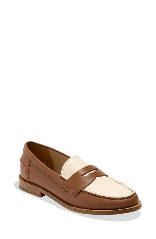 Shop Jack Rogers Tipson Penny Loafer In Brown