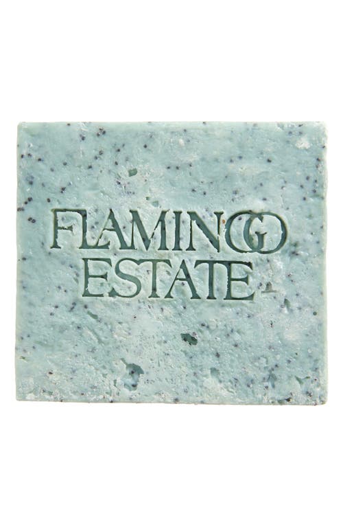 Flamingo Estate Exfoliating Peppermint Soap Brick In Blue