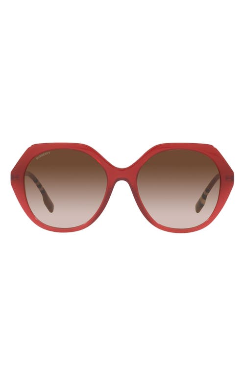 burberry 55mm Round Sunglasses in Bordeaux