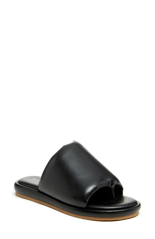 Traveler Slide Sandal in Black
