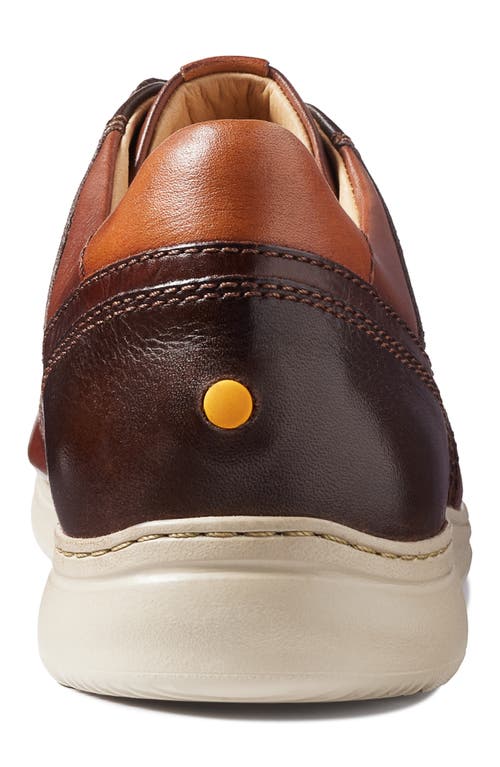 Samuel Hubbard Olema Lightweight Oxford In Antique Brown Leather