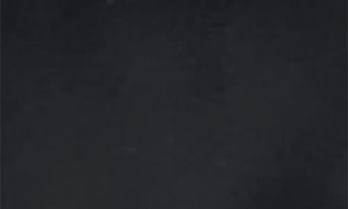 Surell Faux Fur Cuff Gloves In Black