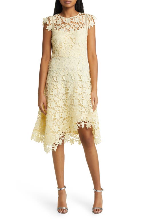 Eliza j lace pleated cocktail dress best sale