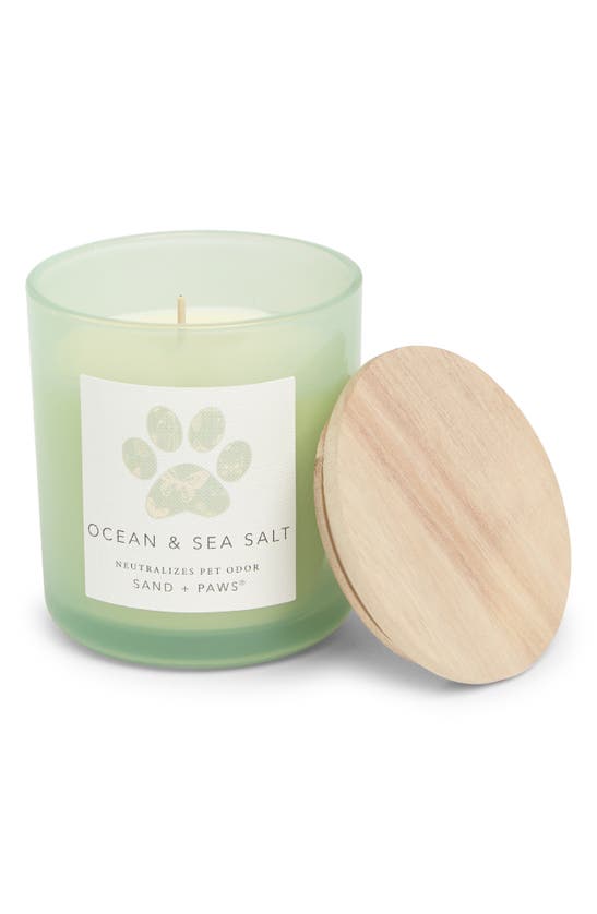 Sand And Fog Ocean Sea Salt Candle In Pistachio ModeSens