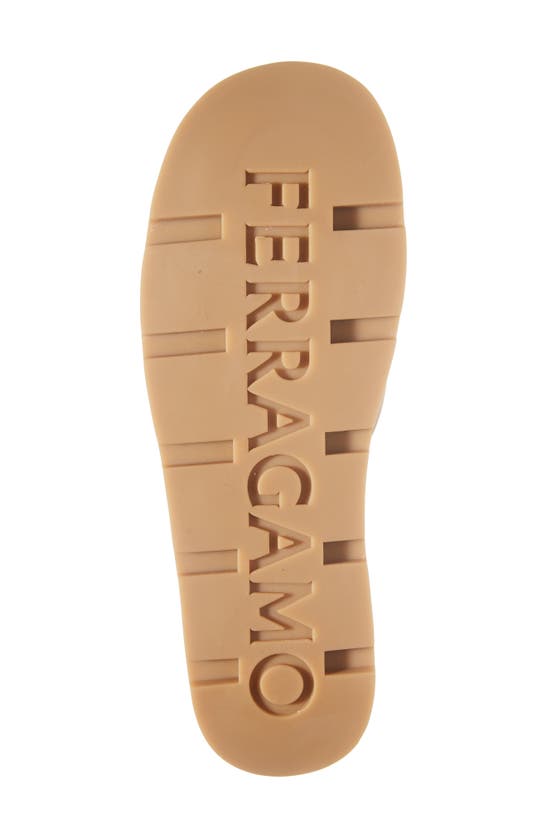 Shop Ferragamo Engracia Platform Slide Sandal In Rosa