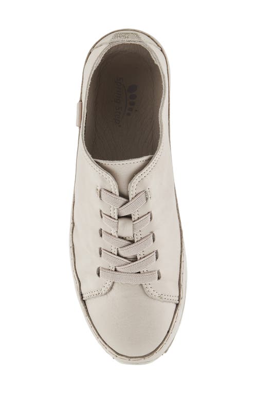 Shop Spring Step Abeck Sneaker In Stone