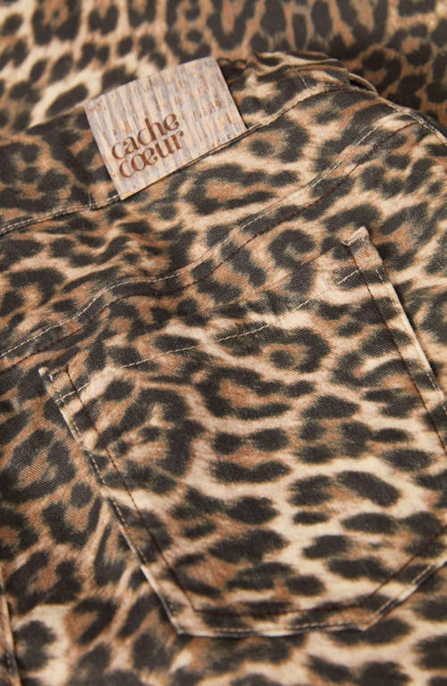 Cache Coeur Leopard Print Maternity Mom Jeans In Leopard