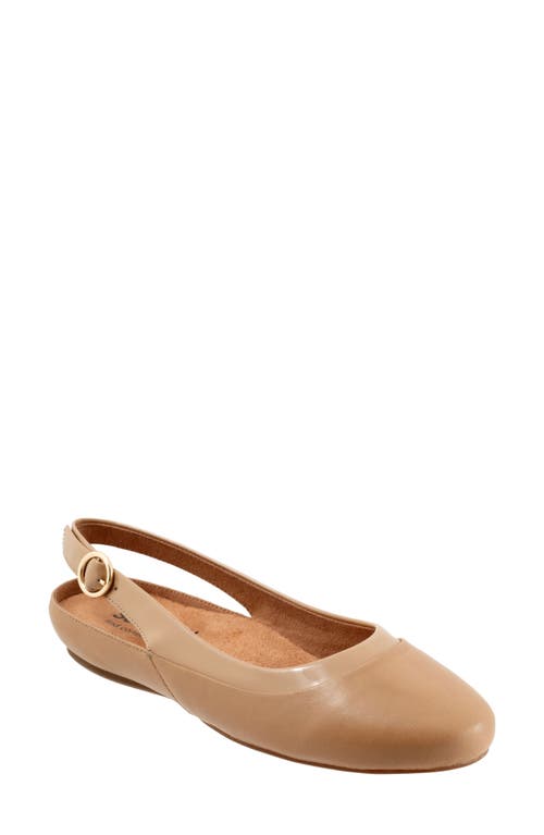 SoftWalk® Sheffield Slingback Flat in Beige 