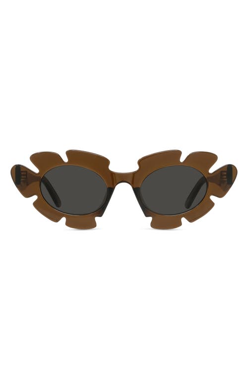 Loewe x Paula's Ibiza 47mm Cat Eye Sunglasses in Light Brown/Other /Smoke at Nordstrom