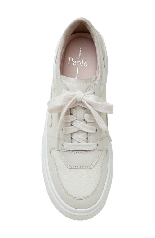 Linea Paolo Gains Platform Sneaker In Snow